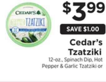 ShopRite Tzatziki offer