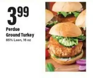 Big Y Perdue Ground Turkey 16 oz offer