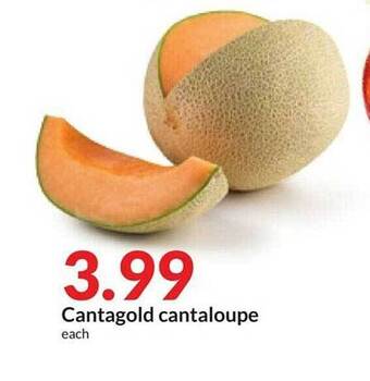 Hy-Vee Cantagold cantaloupe offer