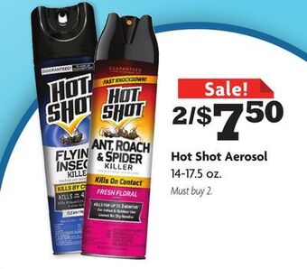 Family Dollar Hot shot aerosol offer