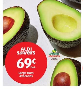 Aldi Large hass avocados offer