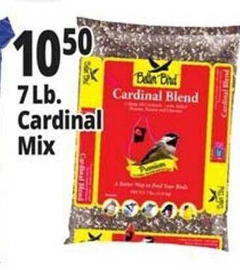 Ocean State Job Lot 7 lb. cardinal mix offer