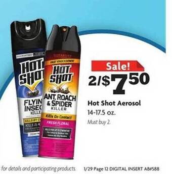 Family Dollar Hot shot aerosol offer