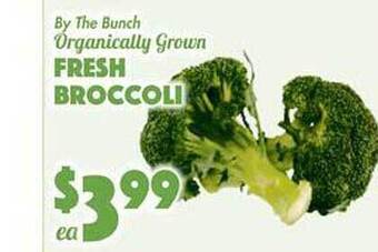 The Food Emporium Fresh broccoli offer