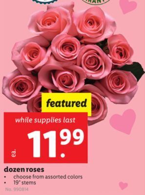 Lidl Dozen roses offer
