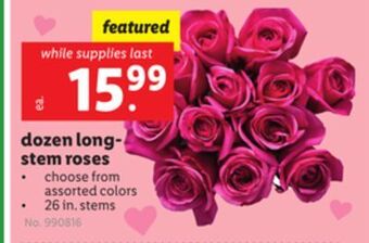 Lidl Dozen long-stem roses offer