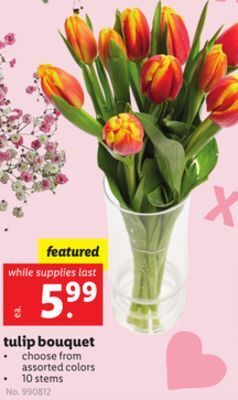 Lidl Tulip bouquet offer