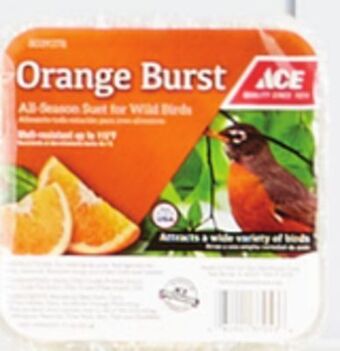Ace Hardware Ace® suet, 11 oz. offer
