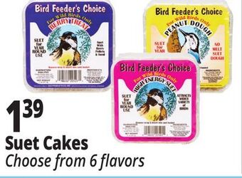 Ocean State Job Lot Suet cakes offer