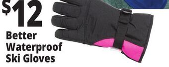 Ocean State Job Lot Better waterproof ski gloves offer