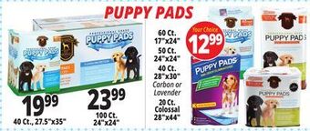 Ocean State Job Lot Puppy pads offer