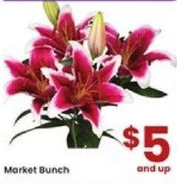 Albertsons Market Bunch offer