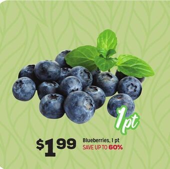 Grocery Outlet Blueberries, 1 pt offer