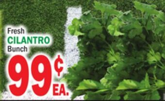 C Town Cilantro offer
