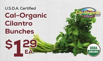 DeCicco & Sons Cal-organic cilantro bunches offer