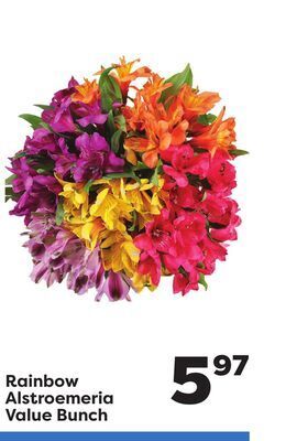 Weis Markets Rainbow alstroemeria value bunch offer