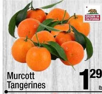 Super King Markets Murcott tangerines offer