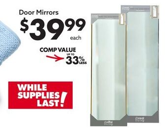 Big Lots Door mirrors offer