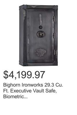 Costco Bighorn ironworks 29.3 cu. ft. executive vault safe, biometric lock, fire rated offer