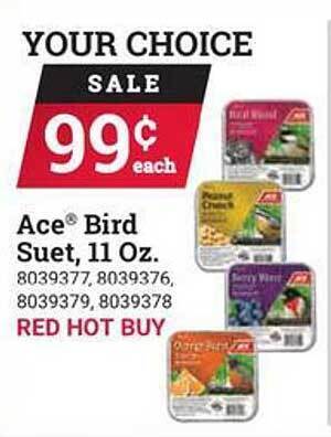Ace Hardware Ace bird suet 11 oz offer