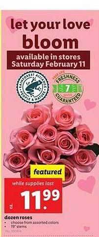 Lidl Dozen roses offer