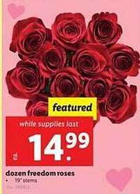 Lidl Dozen freedom roses offer