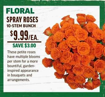 Central Market Floral Spray Roses 10-Stem Bunch offer