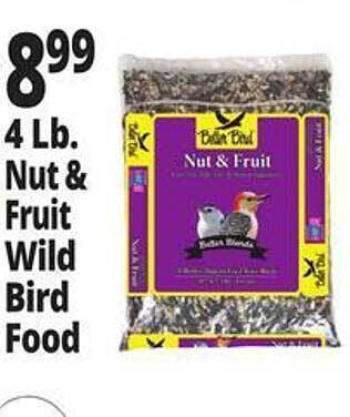 Ocean State Job Lot Better bird 4 lb. nut & fruit wild bird food offer