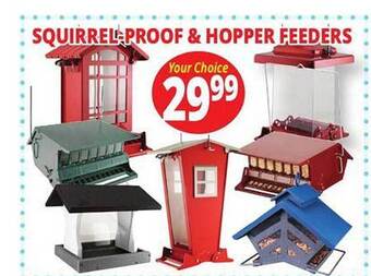 Ocean State Job Lot Squirrel-proof & hopper feeders offer
