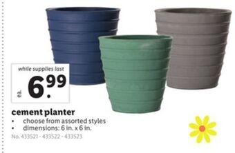 Lidl Cement planter offer