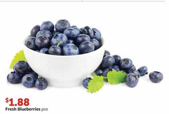 Fareway Fresh blueberries offer