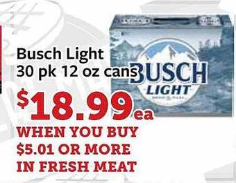 Fareway Busch light offer