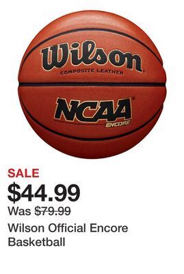 Dick's Sporting Goods Wilson official encore basketball offer