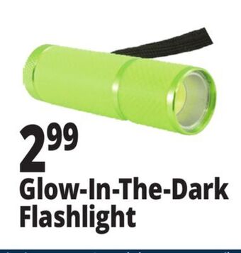 Ocean State Job Lot Glow-in-the-dark flashlight offer