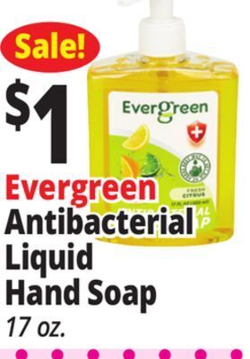 Ocean State Job Lot Evergreen antibacterial liquid hand soap offer