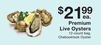 Fairway Store Market Premium live oysters offer