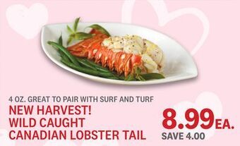 Kings Food Markets Wild caught canadian lobster tail offer