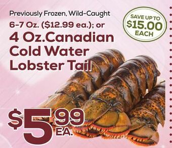 DeCicco & Sons Canadian cold water lobster tail offer