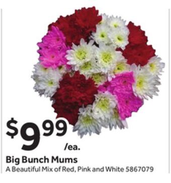 Stop&Shop Big bunch mums offer