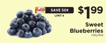 ShopRite Sweet blueberries offer