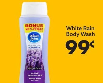 Big Lots White rain body wash offer