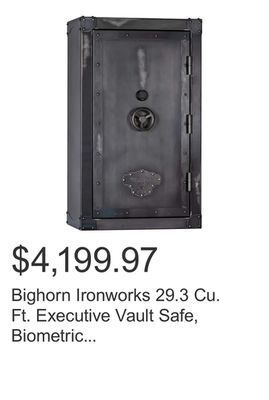 Costco Bighorn ironworks 29.3 cu. ft. executive vault safe, biometric lock, fire rated offer