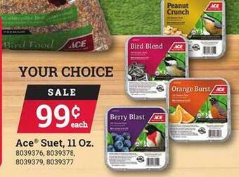 Ace Hardware Ace suet offer
