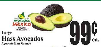 Baja Ranch Large hass avocados offer