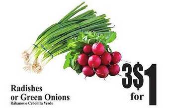 Baja Ranch Radishes or green onions offer
