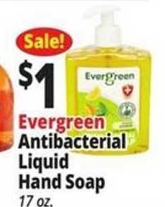 Ocean State Job Lot Evergreen antibacterial liquid hand soap offer