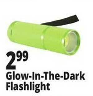 Ocean State Job Lot Glow-in-the-dark flashlight offer