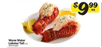 Winn Dixie Warm water lobster tail offer