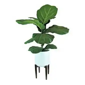Kohl's Designs by lauren 40-in. artificial fig branch floor decor offer
