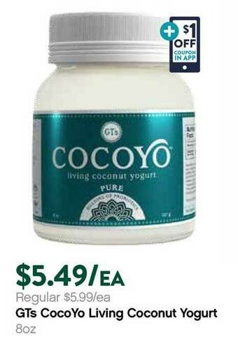 Plum Market Gts Cocoyo Living Coconut Yogurt offer